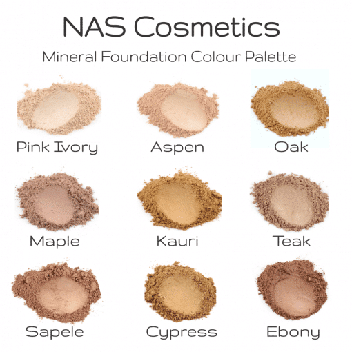 NAS Cosmetics Mineral Foundation PALETTE